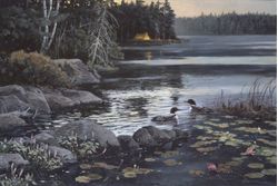 Northern-Visitors-Wall-Mural