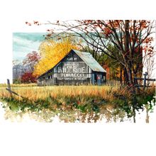 Old Ads Wall Mural