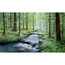 Spring Serenity Wall Mural