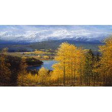 Colorado Gold Wall Mural