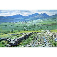 County Mayo, Ireland Wall Mural