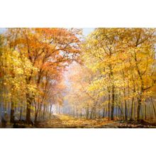 Autumn Solitude Wall Mural