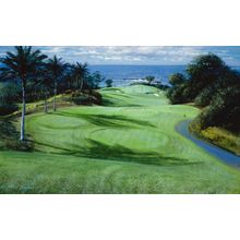 Mauna Kea 11th Hole Wall Mural