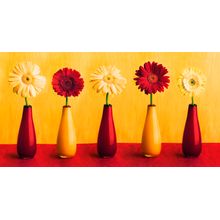 Daisies II Wall Mural