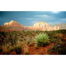 Sunlit Rocks Wall Mural