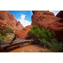 Fiery Furnace Wall Mural