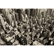 Dense Manhattan Wall Mural