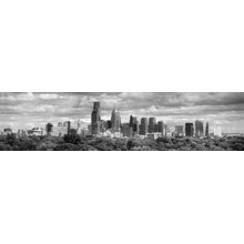 Philadelphia Wall Mural