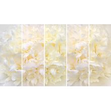 Partial To Peonies Wall Mural