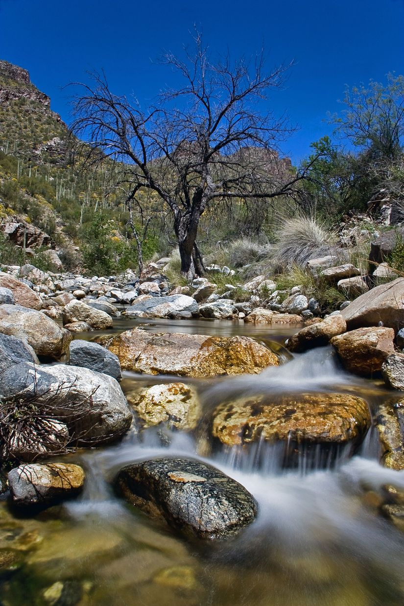 Canyon-Creek-Mural-Wallpaper