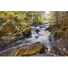 Misty Morning At The Falls Wall Mural