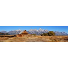 Weathered To Perfection Wall Mural