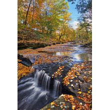 Splendor at Skillet Creek Wall Mural