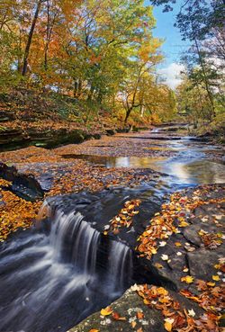 Splendor-at-Skillet-Creek-Wall-Mural