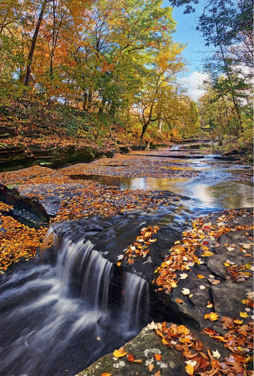Splendor-at-Skillet-Creek-Wall-Mural