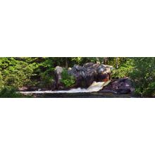 Where Tranquil Waters Run Wall Mural