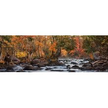 Leaf Peeping On The Peshtigo Wall Mural