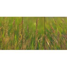 Prairie Light Wall Mural