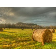 Bales Of Hay Wall Mural