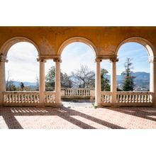 Terrace Entrance Wall Mural