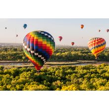 New Mexico Balloons Wall Mural