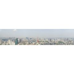 Toyko - Panorama Wall Mural