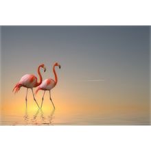 Serenity II Wall Mural