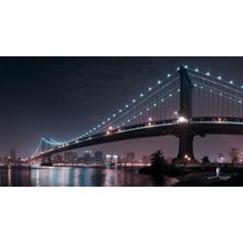 The 2 lovers under Manhattan Bridge Wall Mural