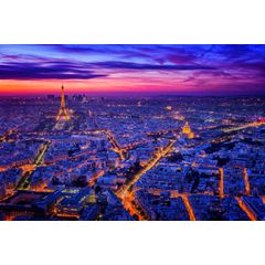Paris I Wall Mural