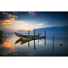 The Boats Wall Mural