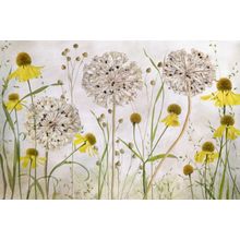 Alliums and Heleniums Wall Mural