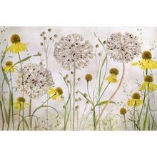 Alliums and Heleniums Mural Wallpaper