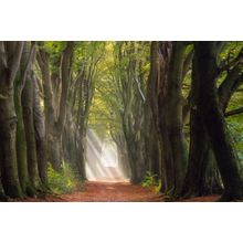 A Glorious Day Wall Mural