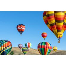 Colorful Hot Air Balloons Wall Mural