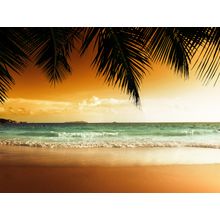 Sunset On Caribbean Beach Wall Mural