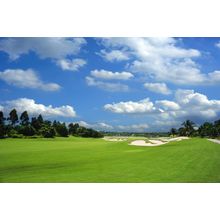 Beautiful Day Golf Course Wall Mural