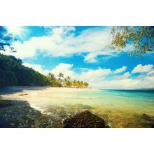 Tropical Summer Beach Wall Mural