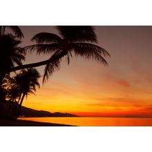 Tropical Sunset Beach Wall Mural