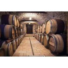 Rendering Of An Ancient Wine Cellar Wall Mural