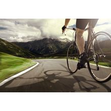 Downhill Wall Mural