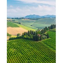 Tuscan Farmhouse Wall Mural