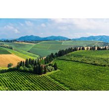 Tuscan Farmhouse in Italy Wall Mural