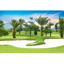 Tropical Tree Golf Course Wall Mural