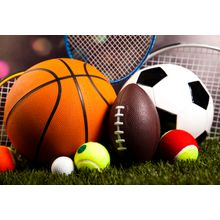 Sports Equipment In Grass Wall Mural
