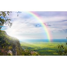 Shining Rainbow Wall Mural