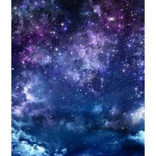 Twinkling Dreams Wall Mural