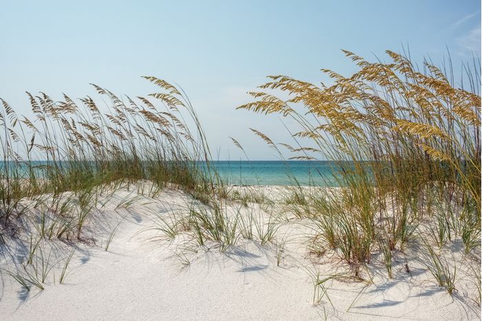 Pompano Beach Sand Dunes