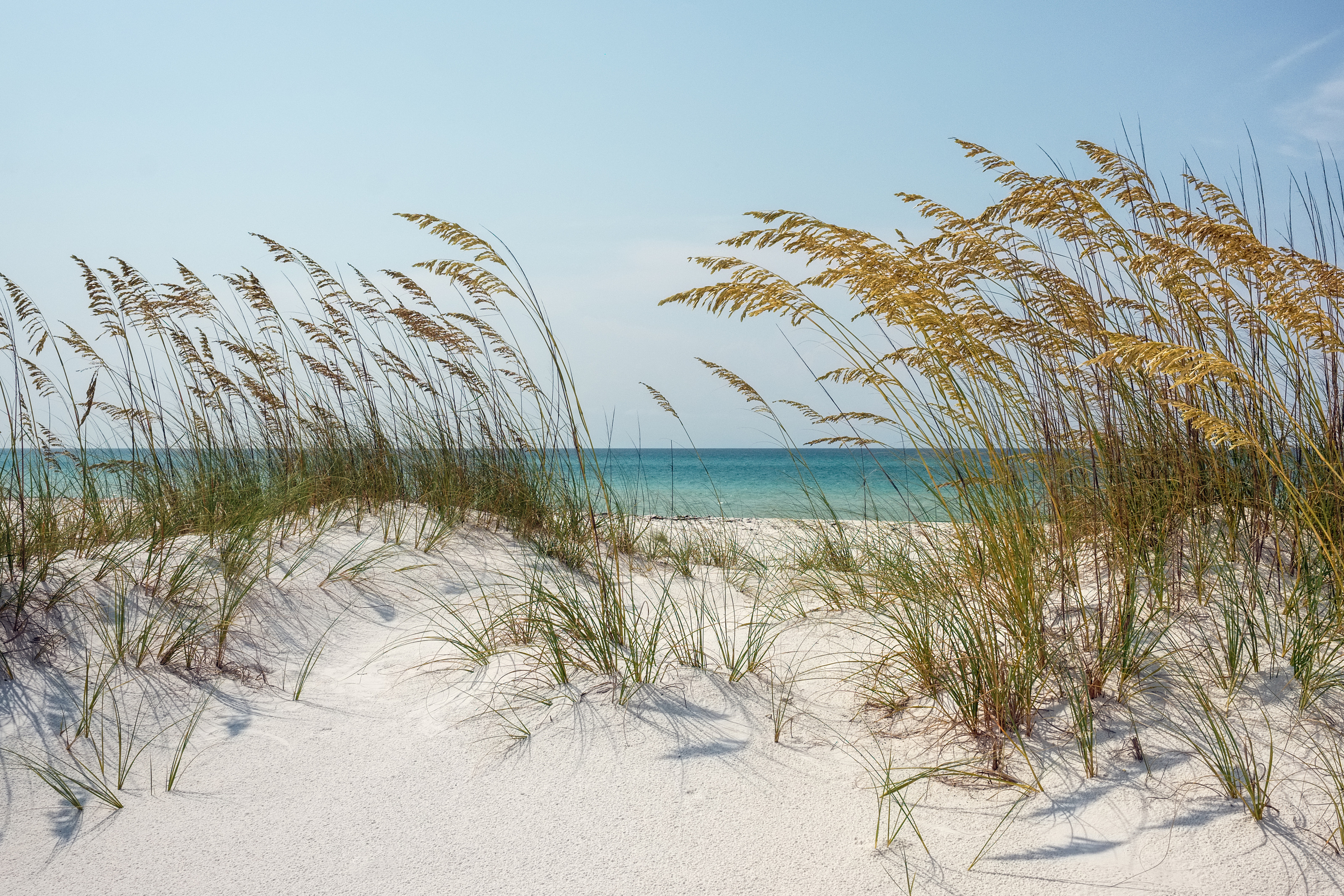 Florida Sand Dunes And Sea Oats At The Beach Wall Mural - Murals Your Way