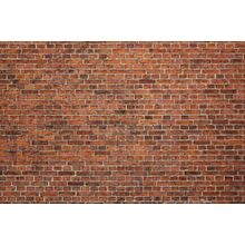 Grunge Red Bricks Wall Mural