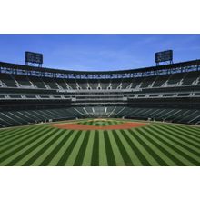 Baseball Stadium Wall Mural